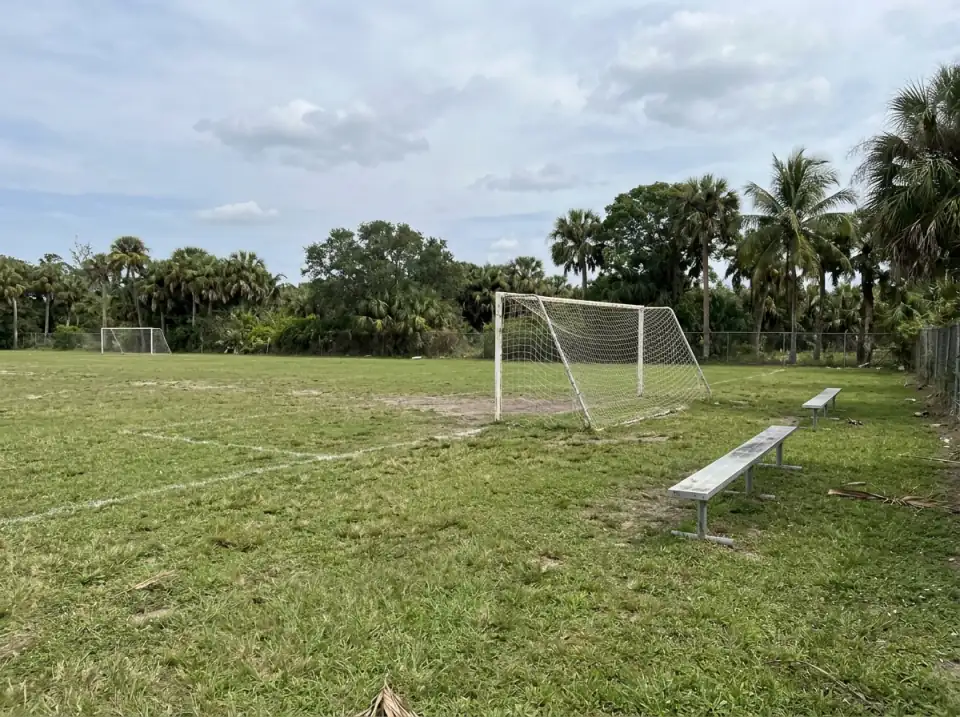 Illustration of an empty soccer field at a public park with two goals, portable benches and palms