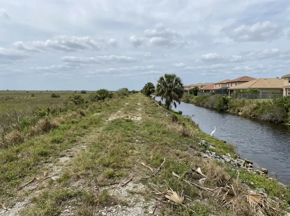 Illustration of a grassy levee beside a canal at the western edge of Broward County, with suburban rooftops on one side and Everglades sawgrass on the other