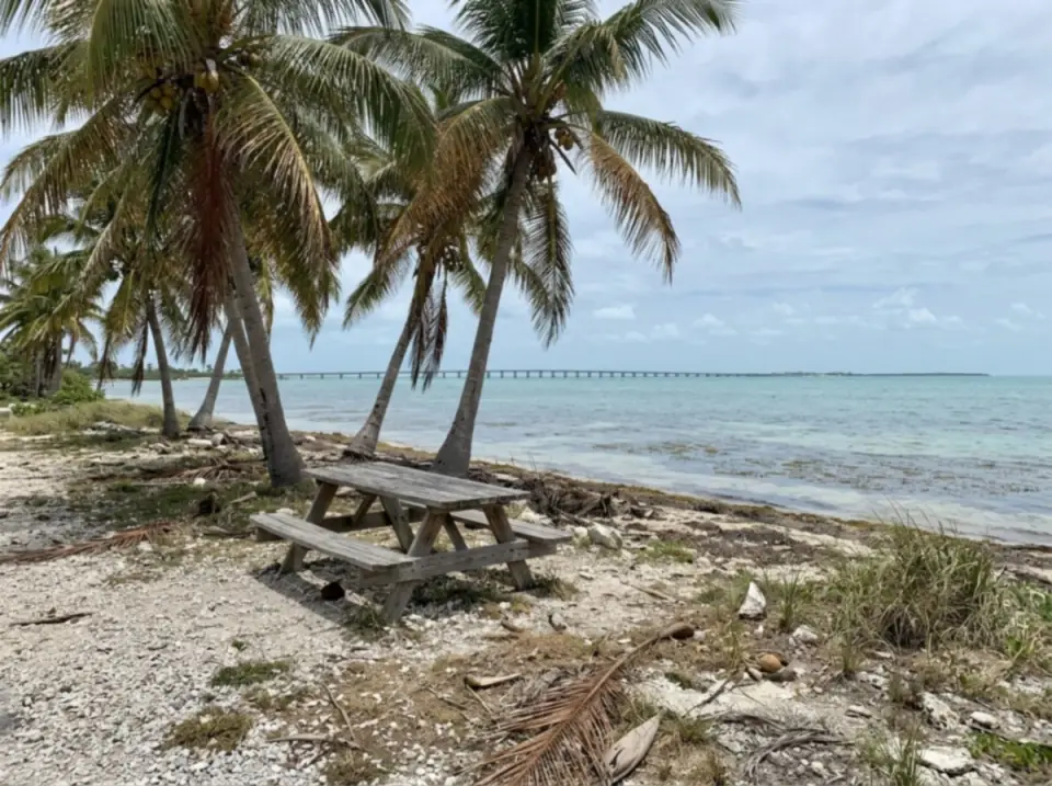 Illustration of a picnic table under coconut palms at a roadside pull-off in the Middle Keys, turquoise shallows and a long bridge in the distance