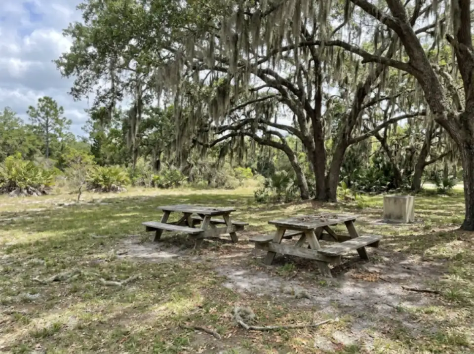 Illustration of empty picnic tables under live oaks at a grassy roadside rest area in central Florida