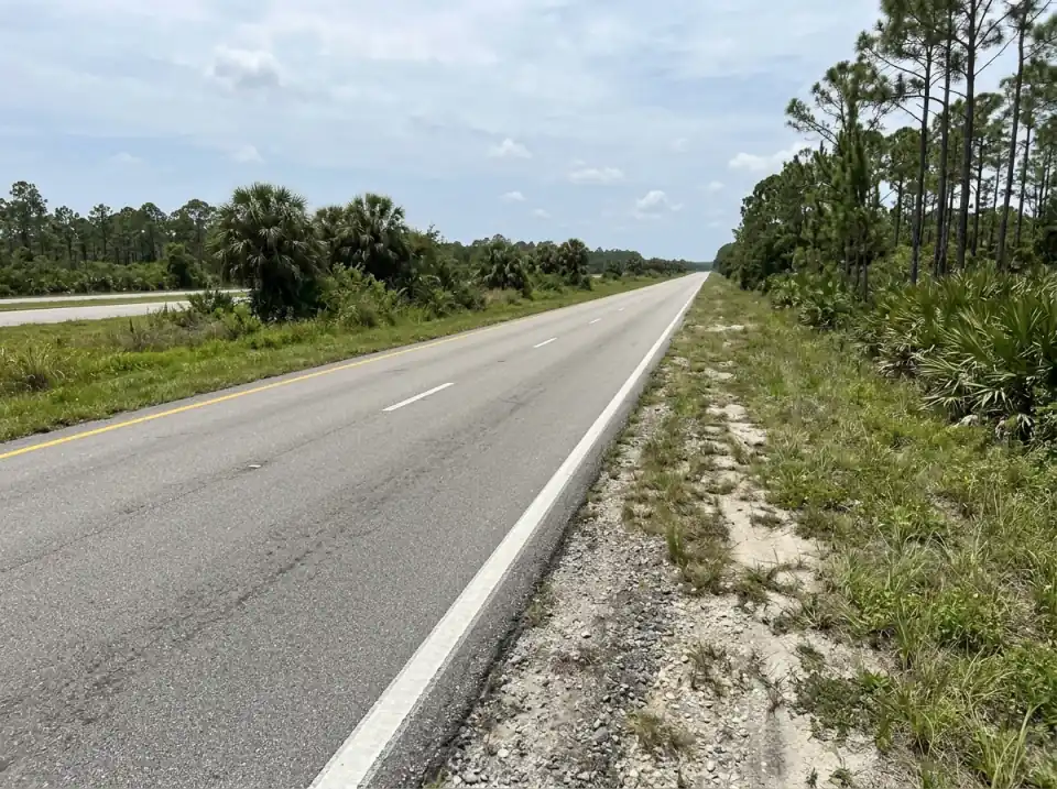 Illustration of a straight, empty divided highway west of Stuart through slash pine flatwoods, cabbage palms in the grassy median