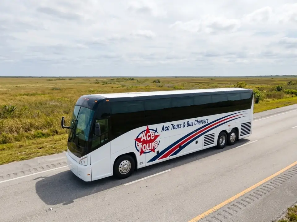 Illustration of a white Ace Tours & Bus Charters motorcoach on a long straight road through Everglades sawgrass, seen from a low drone angle