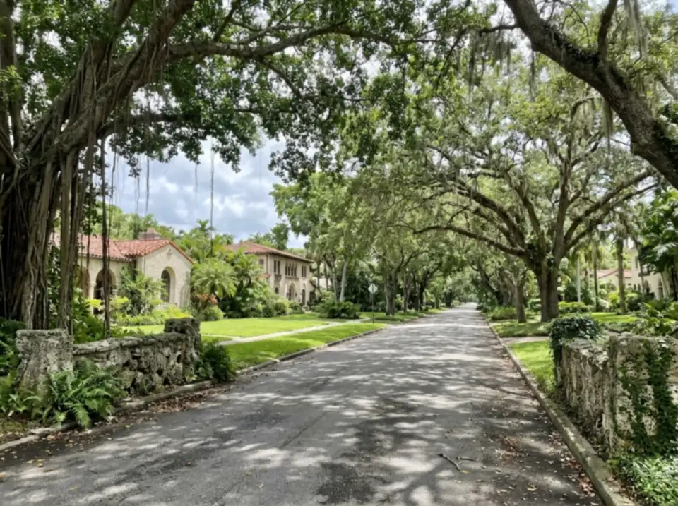 Illustration of a Coral Gables street under a canopy of banyan and oak trees, with coral rock walls and Mediterranean style homes