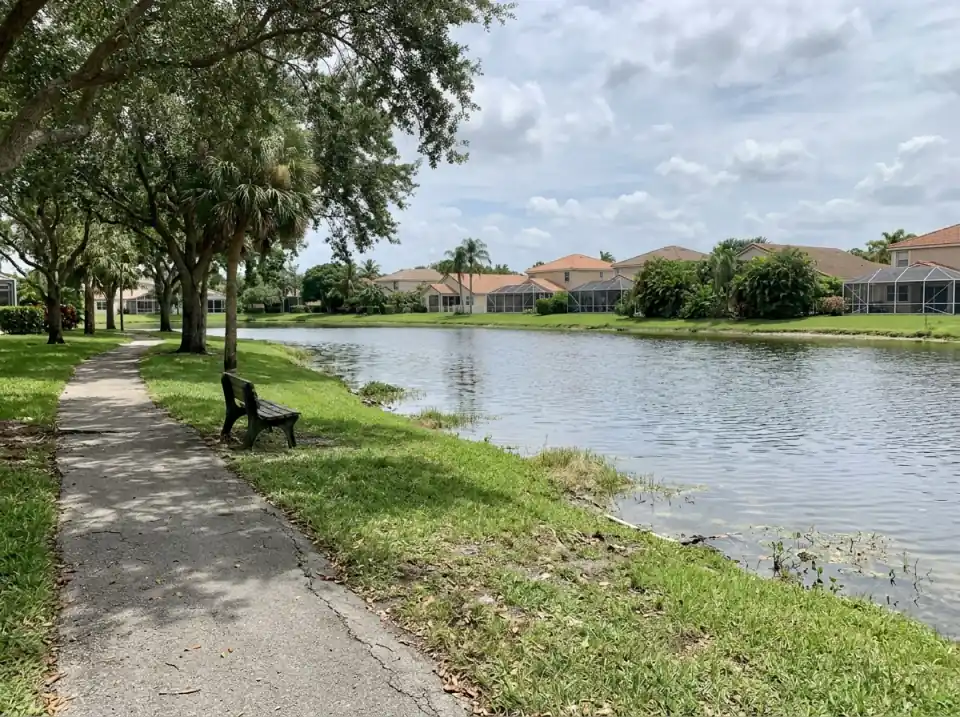 Illustration of a neighborhood lake in Coral Springs with a walking path, a bench and tile-roofed homes along the far shore