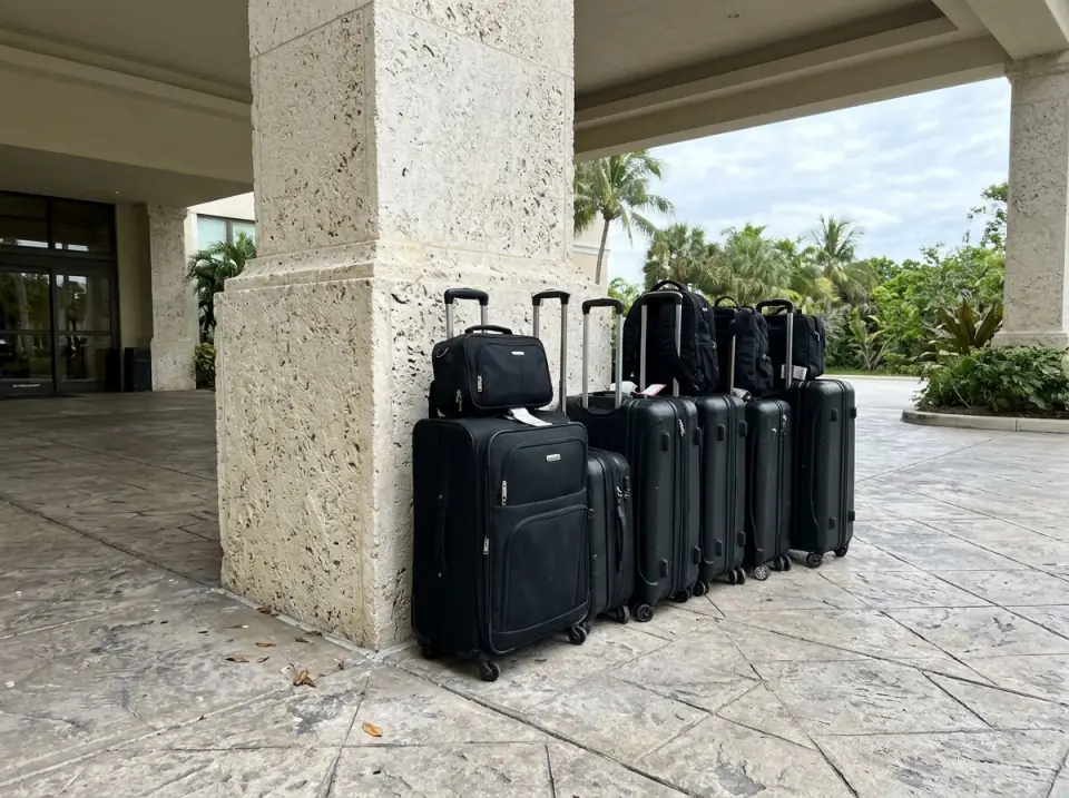 Illustration of a row of black rolling suitcases and small flight bags standing beside a stone column under a hotel entrance canopy