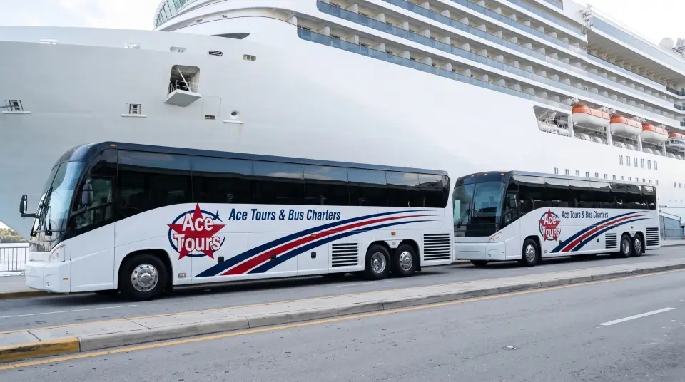 Illustration of two Ace Tours motorcoaches parked nose to tail at the Port Everglades cruise terminal curb, a huge white cruise ship hull behind