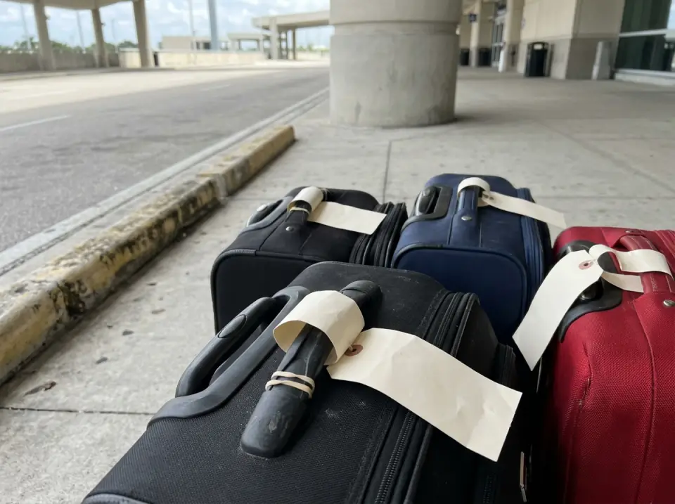 Illustration of suitcases with blank paper luggage tags on their handles at a cruise terminal curb under a concrete canopy