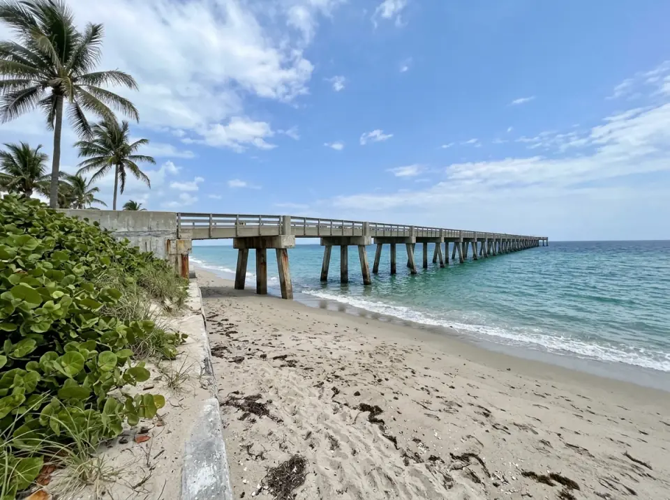Illustration of a long concrete fishing pier reaching into the Atlantic at Deerfield Beach, seen from the sand beside sea grape and palms