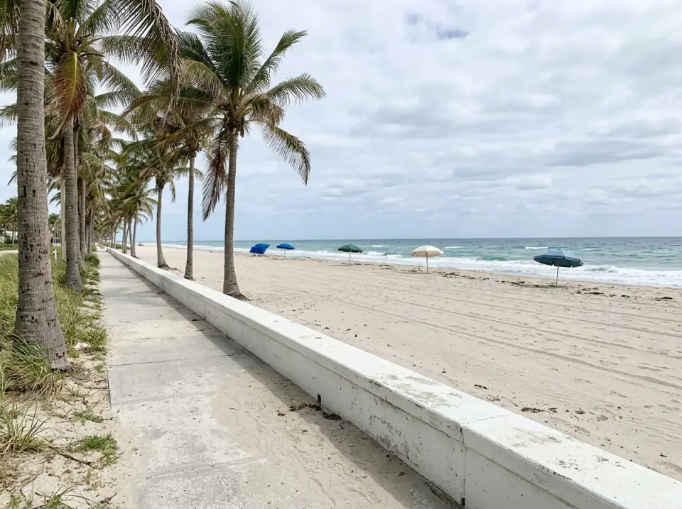 Illustration of the Delray Beach public beach seen from the sidewalk, with a low white wall, tall coconut palms and a few umbrellas on wide sand