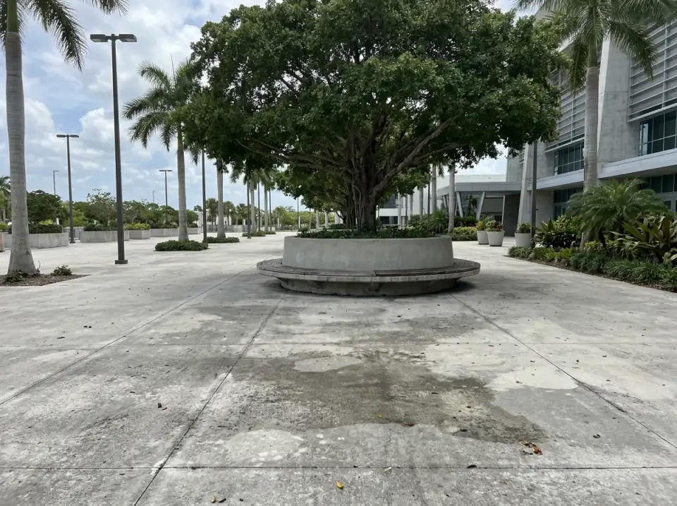Illustration of a big shade tree in a round concrete planter with a bench around it, on a wide walkway near a venue