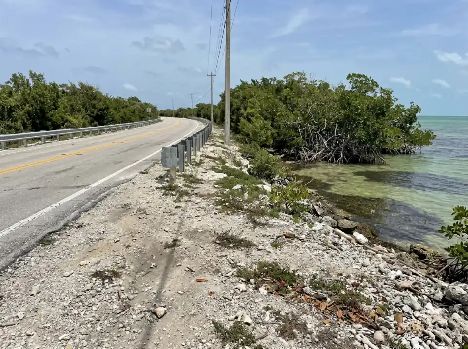 Illustration of the empty Overseas Highway curving between mangroves and shallow green water, seen from a pull-off in the Upper Keys