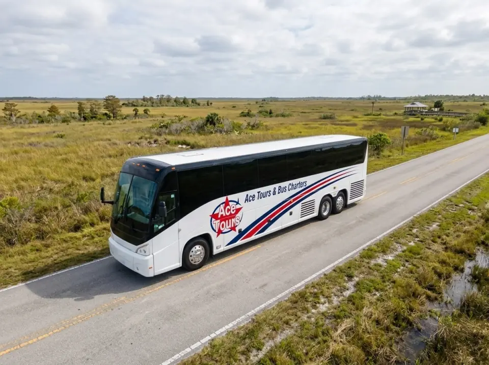 Illustration of a white Ace Tours & Bus Charters motorcoach on a quiet two-lane road through Everglades sawgrass, seen from a low drone angle