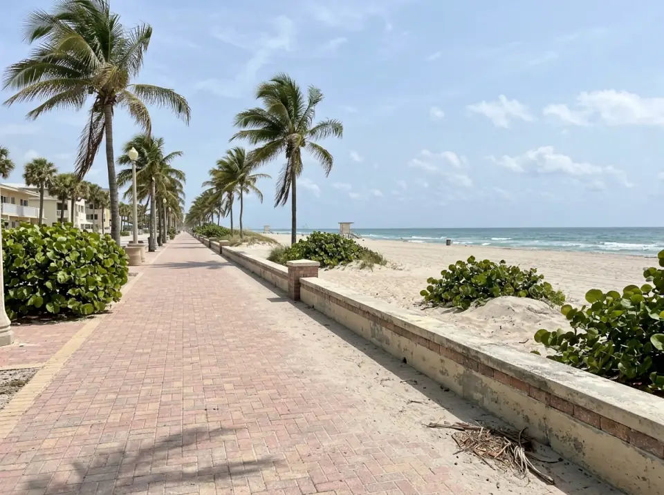 Illustration of the Hollywood Beach broadwalk, a palm-lined brick promenade with a low wall, sea grape and the beach and ocean beside it