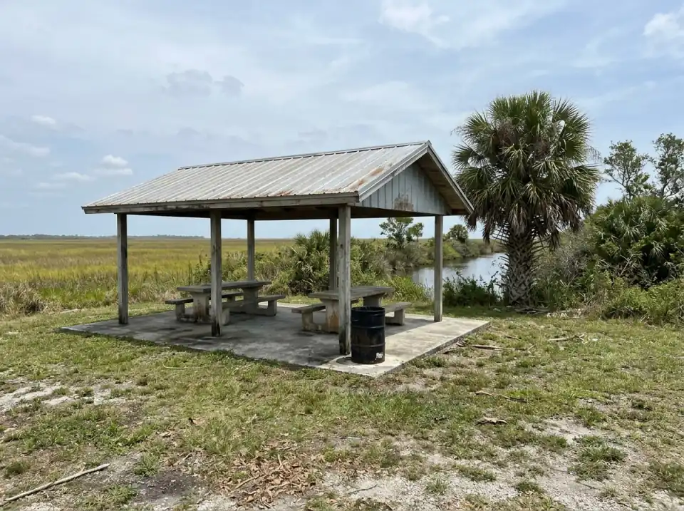 Illustration of a roadside picnic shelter with a metal roof and concrete tables beside flat sawgrass marsh, a cabbage palm and a canal behind