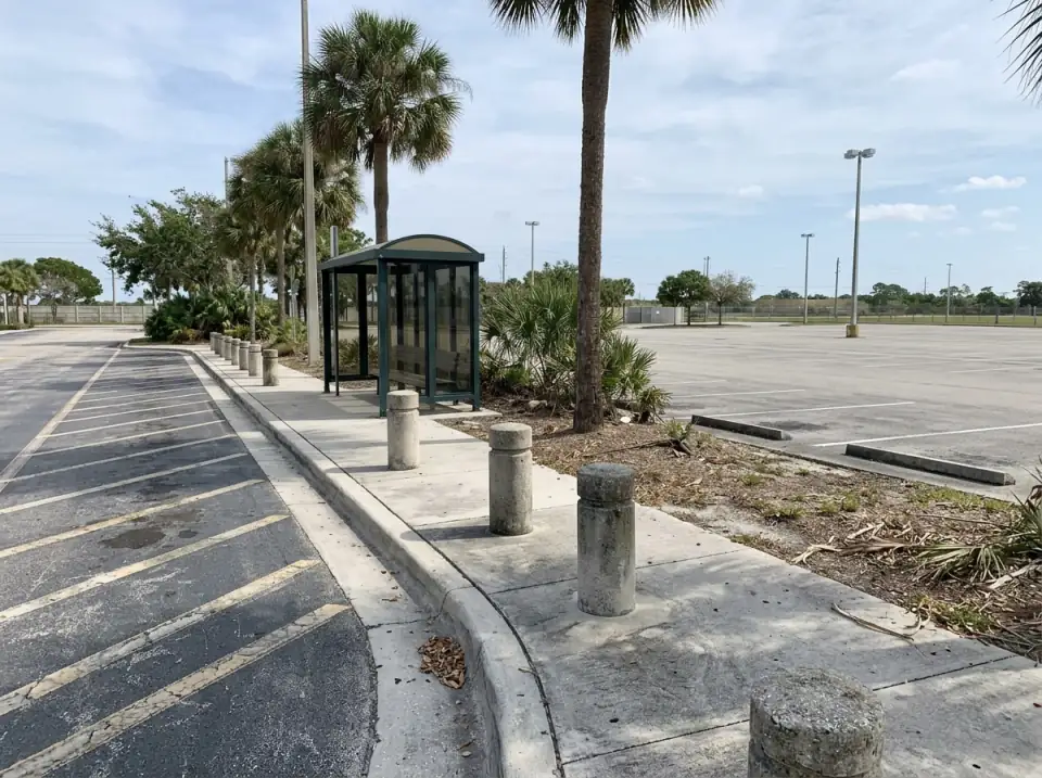 Illustration of a wide empty bus drop-off curb with painted lanes, bollards, palms and a covered waiting shelter beside a large parking area