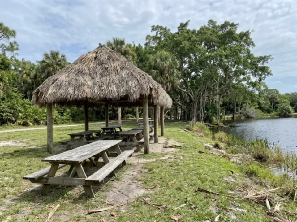 Illustration of a palm-thatched picnic shelter with long wooden tables beside a lake in a South Florida park, banyan trees and mowed grass
