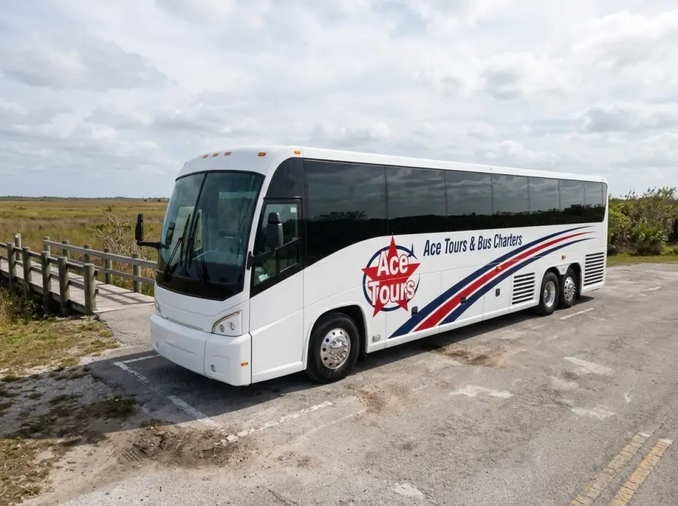 Illustration of a white Ace Tours & Bus Charters motorcoach parked in a visitor lot at the edge of the Everglades sawgrass, a low wooden dock behind