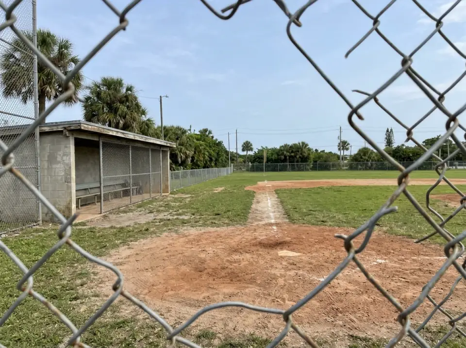 Illustration of an empty baseball field seen through the backstop fence, a dugout on one side and palms past the outfield