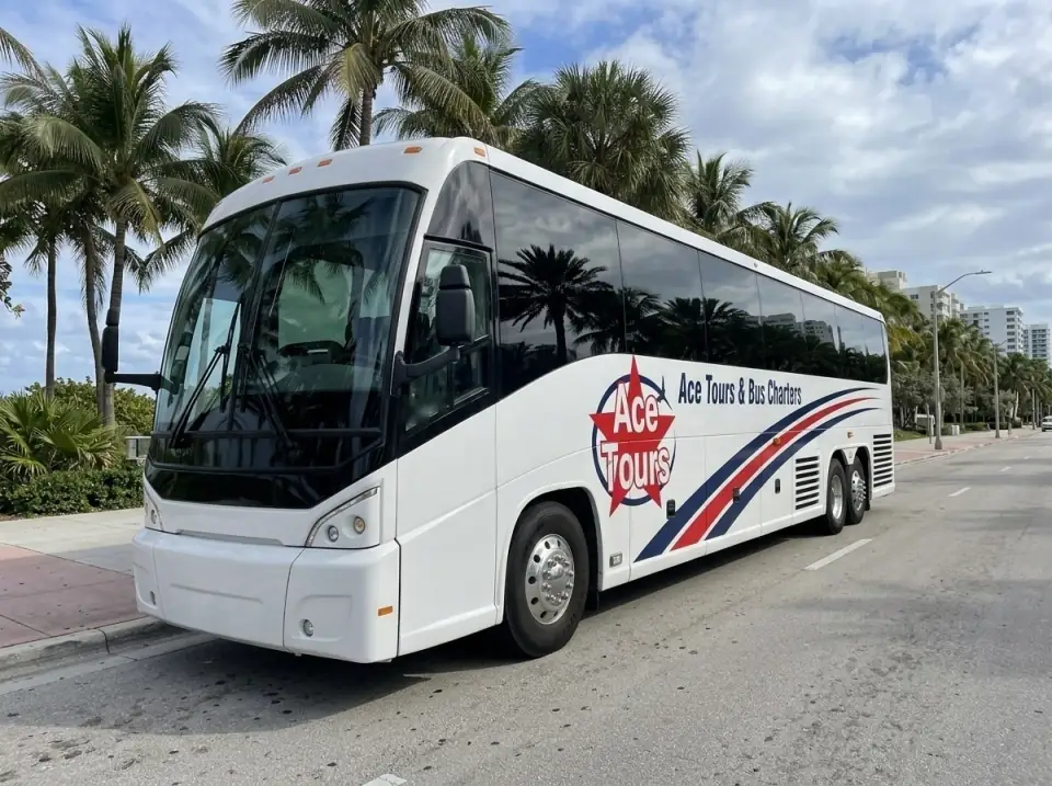 Illustration of a white Ace Tours & Bus Charters motorcoach on a palm-lined Miami boulevard, seen from the road edge