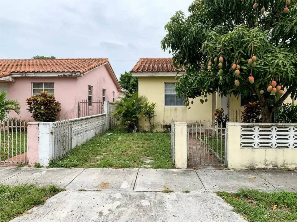 Illustration of two single-story stucco homes on a Hialeah street, painted pink and yellow, with tile roofs, iron gates and a mango tree