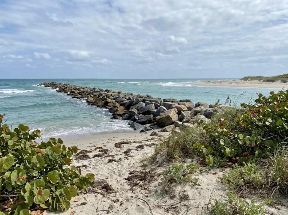 Illustration of a rock jetty at the Jupiter Inlet with clear green water, a sandy beach and sea grape in the foreground