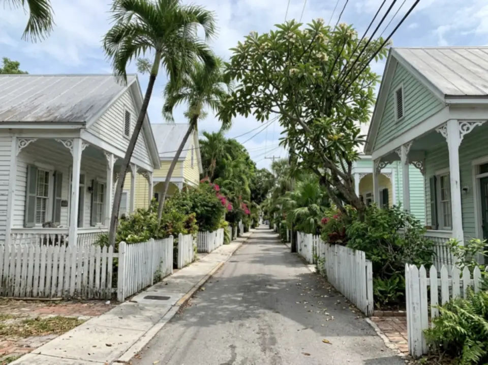 Illustration of a narrow Old Town Key West street with white and pastel wooden houses, picket fences, palms and a frangipani tree