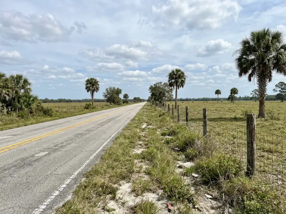 Illustration of an empty two-lane country road through open pasture and cabbage palms in inland western Martin County