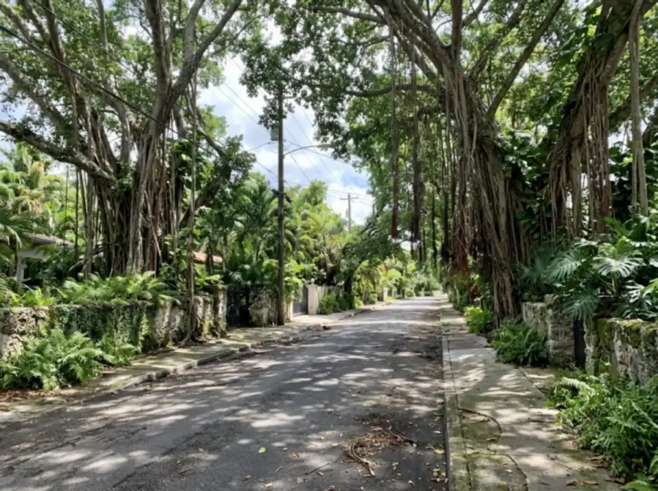 Illustration of a quiet Coconut Grove street shaded by huge banyan trees with hanging roots, coral rock walls and lush plants