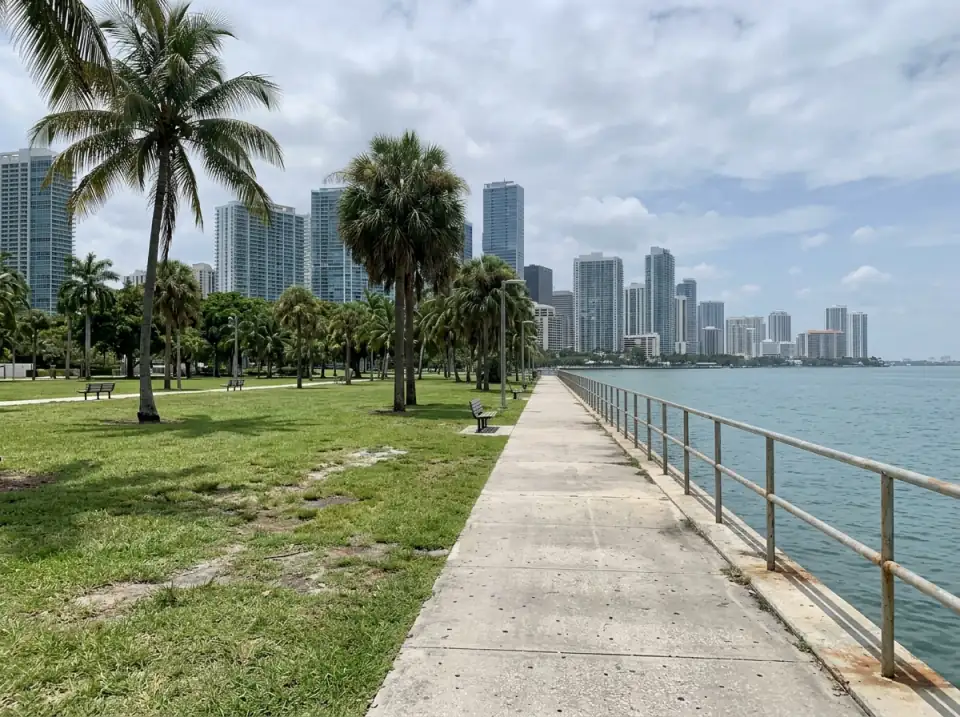 Illustration of a bayfront park walkway in downtown Miami, with palms, a railing along Biscayne Bay and towers behind