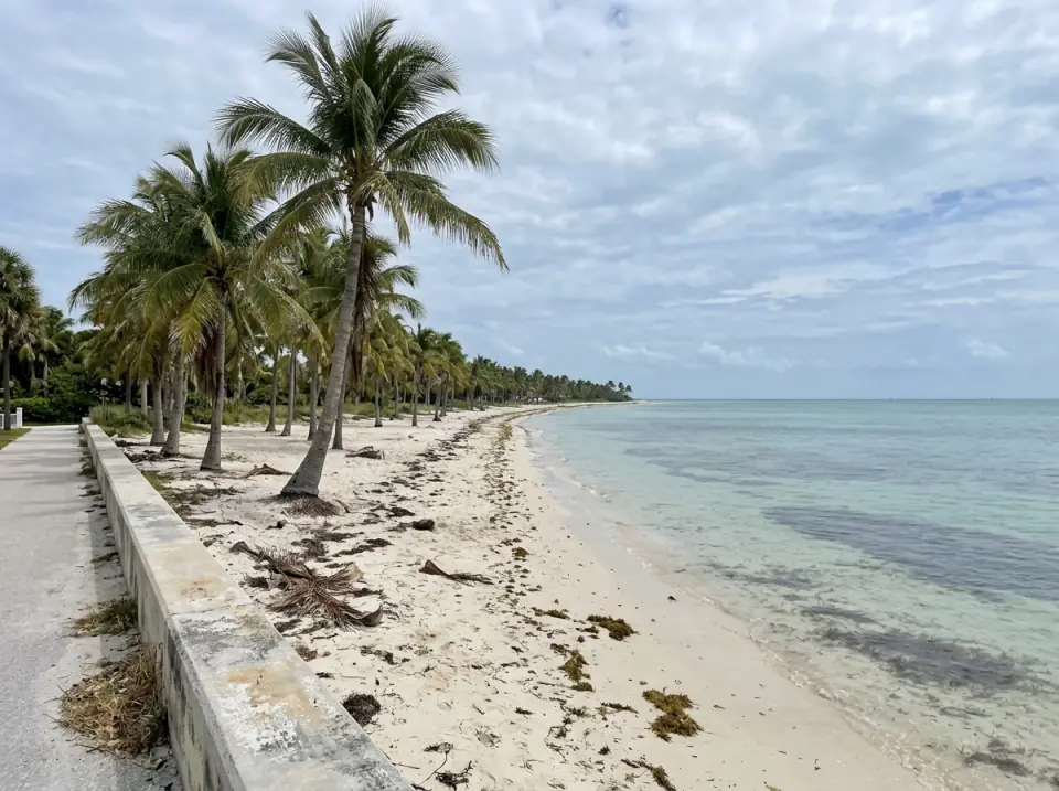 Illustration of a long palm-lined beach on the south shore of Key West, calm turquoise shallows and a low seawall walkway
