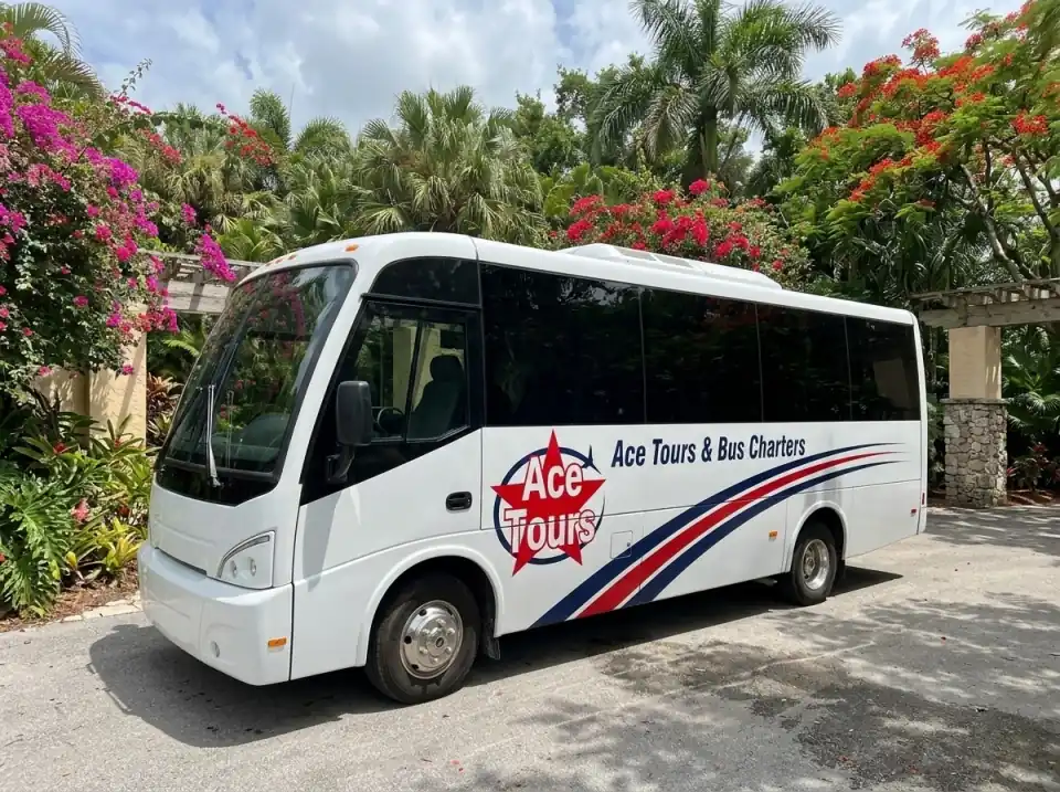 Illustration of a white Ace Tours & Bus Charters minibus parked at a botanical garden entrance in Port St. Lucie with flowering trees