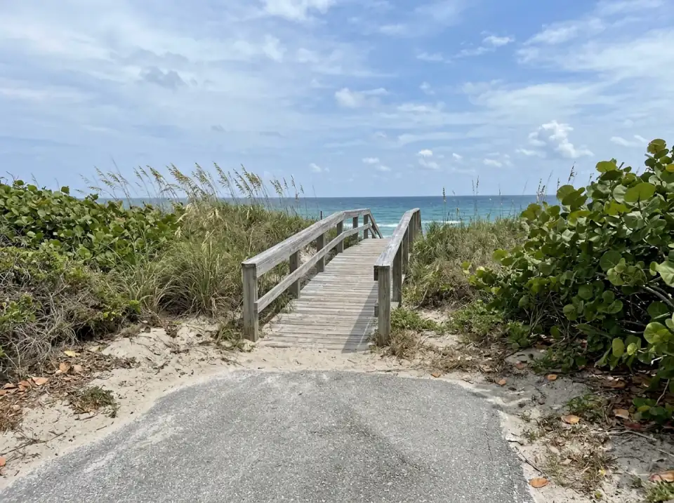 Illustration of a wooden dune walkover at a small beach access on Hutchinson Island near Stuart, sea oats and sea grape on the dunes