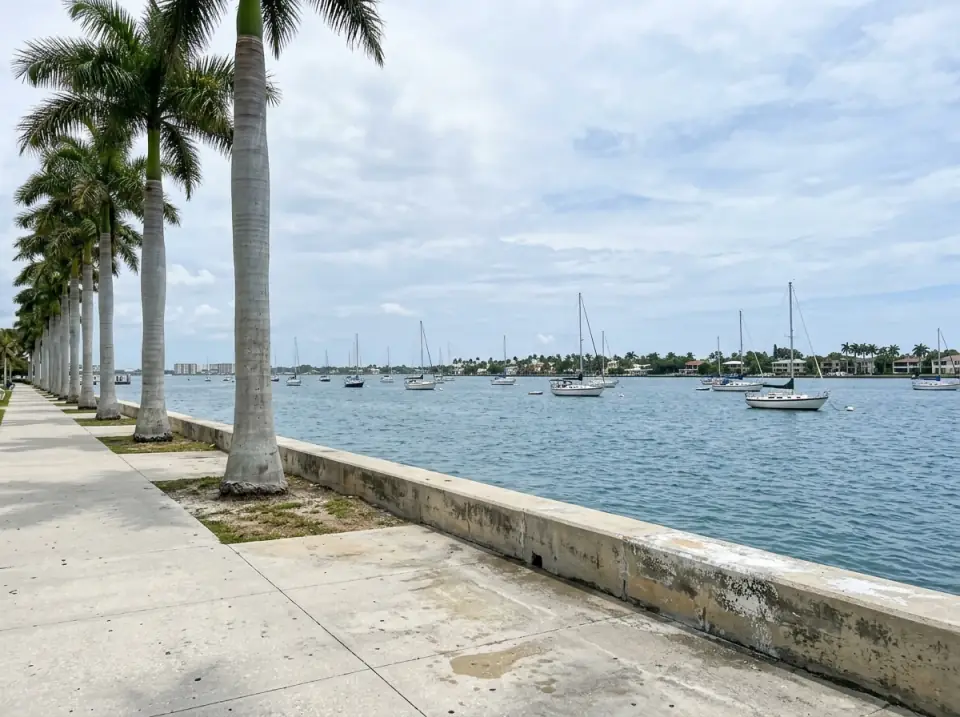 Illustration of the Lake Worth Lagoon waterfront in West Palm Beach seen from a seawall path, sailboats at anchor and royal palms along the shore