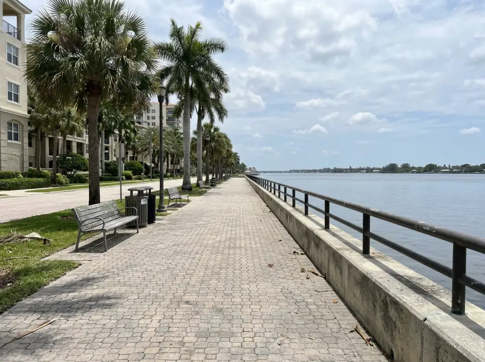 Illustration of the downtown West Palm Beach waterfront promenade with palms, benches and the Intracoastal beside it