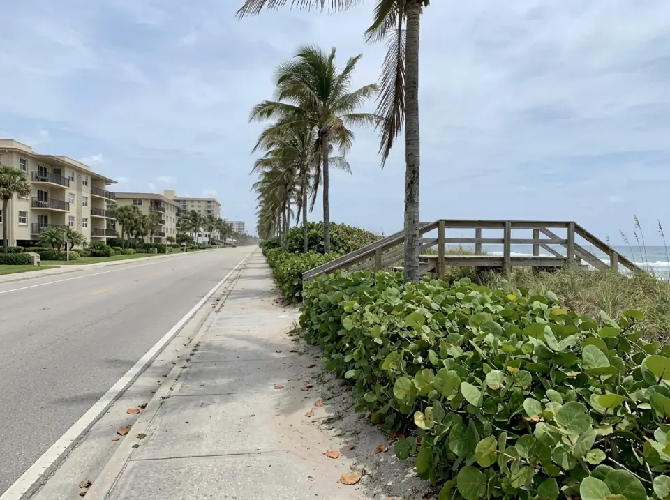Illustration of the sidewalk along North Ocean Boulevard in Pompano Beach, with low-rise condos, sea grape and a wooden dune crossover to the ocean