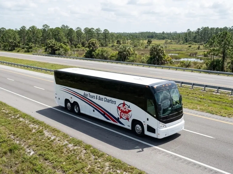Illustration of a white Ace Tours & Bus Charters motorcoach on an empty multi-lane Florida interstate through pine flatwoods and wetlands