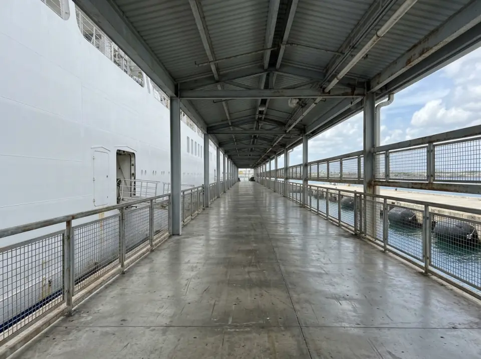 Illustration of a long covered walkway at a cruise terminal running beside the plain white hull of a docked ship