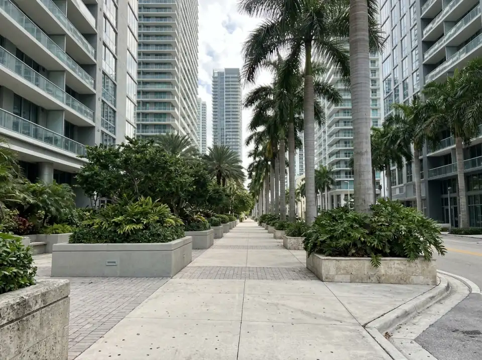 Illustration of a quiet Brickell sidewalk lined with royal palms and planters between tall glass towers