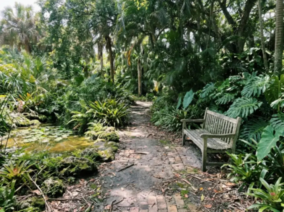 Illustration of a shaded garden path with wooden benches, tropical plants and a small lily pond in a quiet South Florida botanical garden