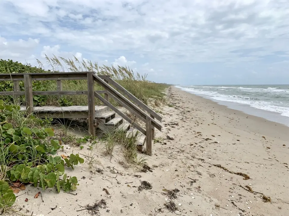 Illustration of an empty Atlantic beach on South Hutchinson Island with a weathered wooden dune walkover, sea oats and sea grape