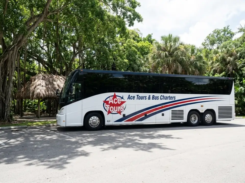 Illustration of a white Ace Tours & Bus Charters motorcoach parked beside a palm-thatched picnic shelter under tall banyan trees at a South Florida nature park