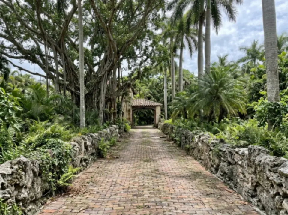 Illustration of a narrow brick driveway at a historic South Florida estate venue, lined with coral rock walls, banyan trees and royal palms