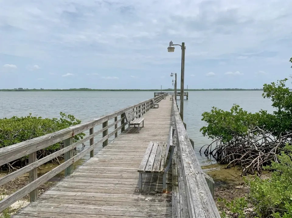 Illustration of a long wooden fishing pier over the calm Indian River Lagoon at Jensen Beach near Stuart, mangroves along the shore