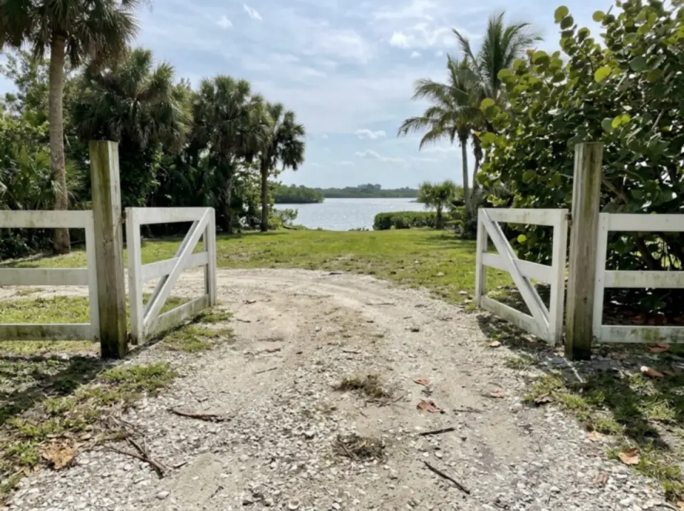 Illustration of a crushed-shell drive leading through an open white gate to a waterfront lawn in Stuart, palms and sea grape along the edge