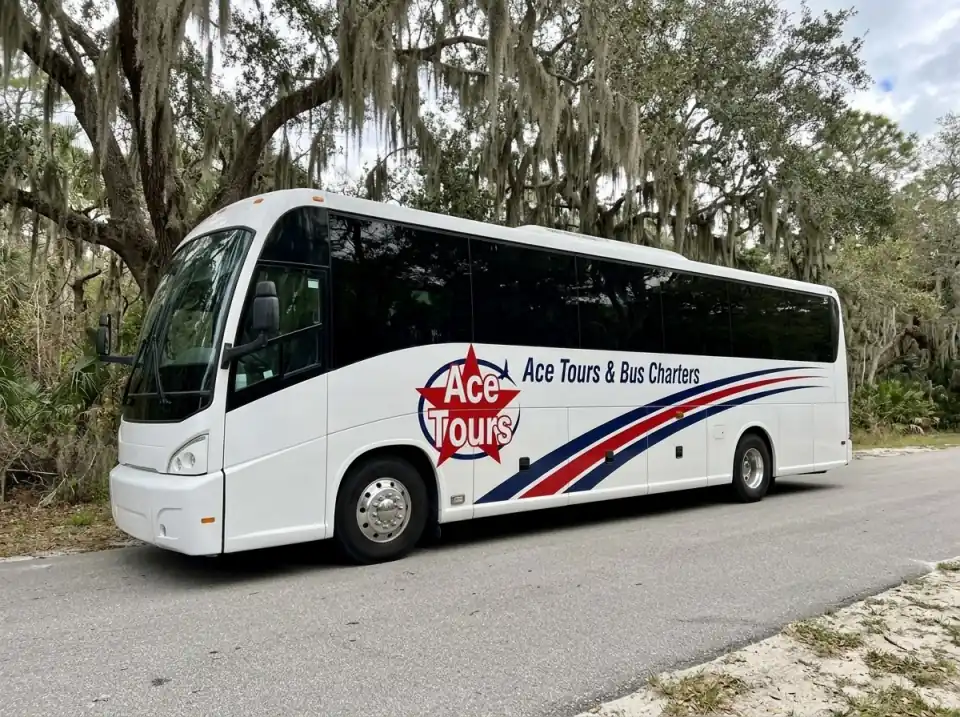 Illustration of a white Ace Tours & Bus Charters coach on a quiet road near Stuart under oak trees hung with Spanish moss